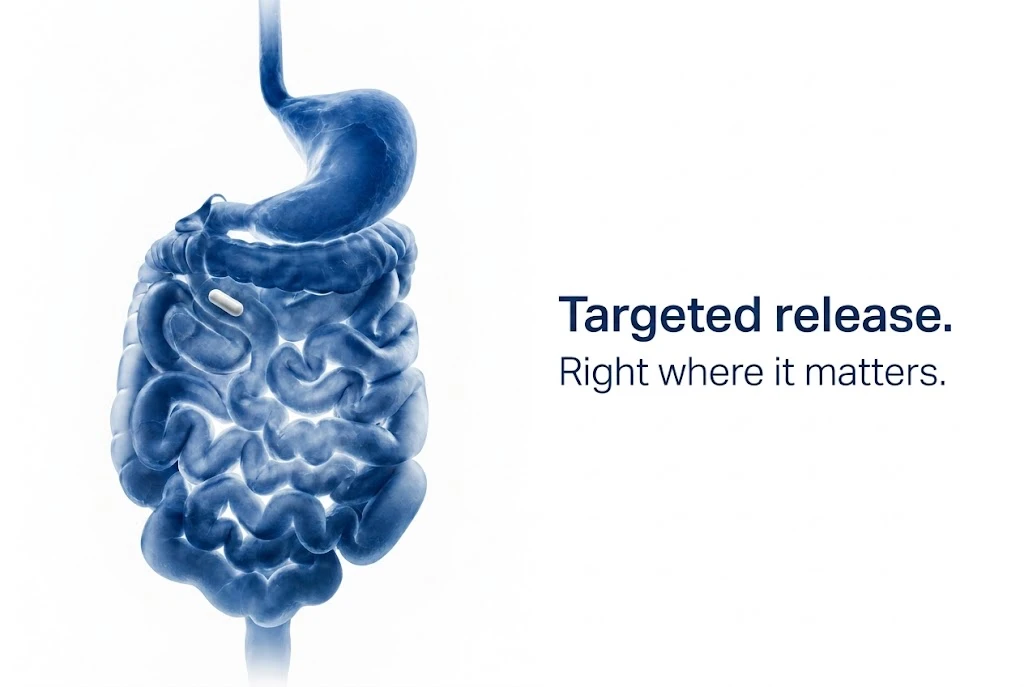 Illustration of a stomach and intestine with the text: Targeted release. Right where it matters.